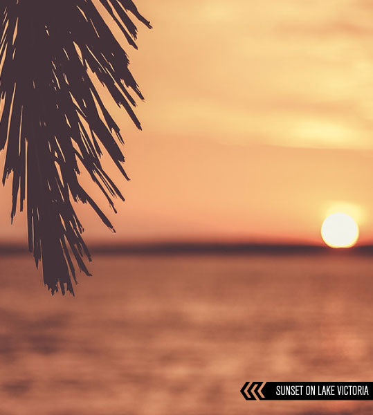 sunset in Ssese